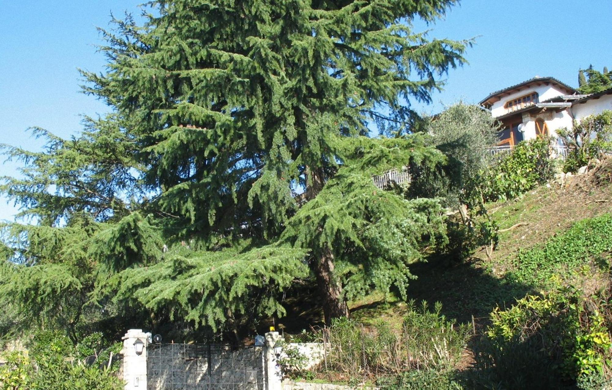 טורי דל בנקו Villa Margio מראה חיצוני תמונה